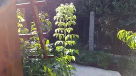 20160807_085432.webp