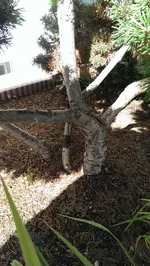 IMAG1948.webp