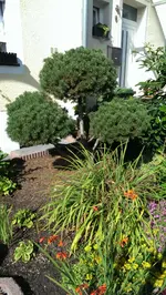 IMAG1945.webp