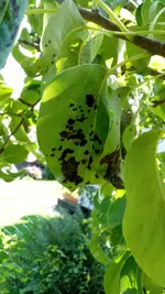 IMG_20160807_115532.jpg