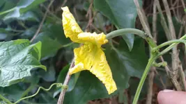 20160806_182601.webp