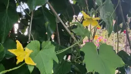 20160806_182714.webp