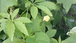 20160806_182722.webp