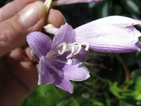 017_1024x768.webp