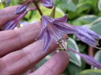 018_1024x768.webp