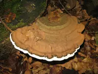001_1024x768.webp