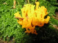 004_1024x768.webp