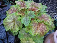 009_1024x768.webp