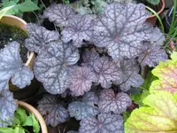 011_1024x768.webp