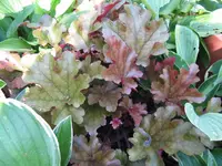 024_1024x768.webp