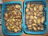 100_2081.jpg