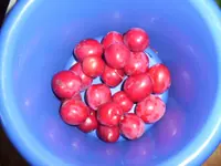 100_2083.jpg