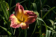 IMG_5669-2.webp