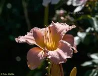 IMG_5680.webp