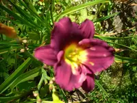 DSCI4442.webp