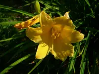 DSCI4441.webp
