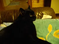 IMGP3636.webp