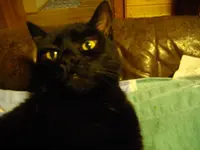 IMGP3637.webp