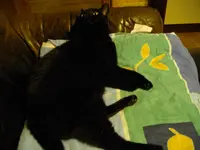 IMGP3635.webp