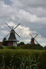 DSC_8034.webp