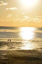 DSC_8141.webp