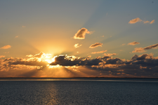 DSC_8163.webp