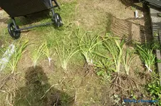 comp_DSC05622.webp