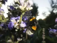 Bilda156.webp