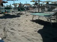 1470645554962.webp