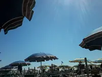 1470646265819.webp