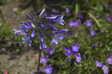 IMG_3940.webp