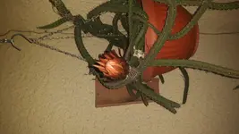 20160806_205438.webp