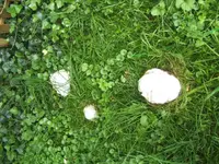 BILD5551.webp
