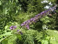 BILD5468.webp