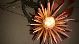 20160806_220640.jpg