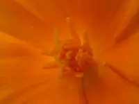 P1010317.webp