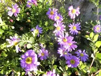 DSCI0073.webp