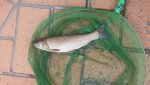 IMG-20160526-WA0000.jpg