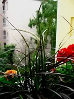 IMG_6266.webp