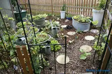 comp_DSC05629.webp