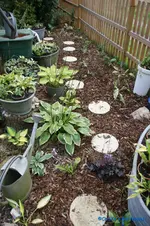 comp_DSC05625.webp