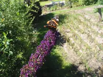004.webp