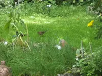 BILD5522.webp