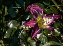 IMG_5745-2.webp