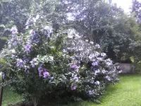 BILD5476.webp