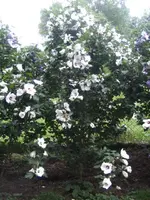 BILD5503.webp