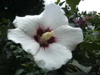 BILD5548.webp