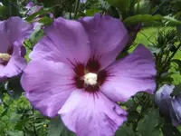 BILD5546.webp