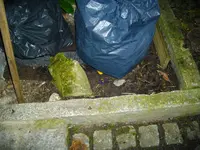 IMGP3104.webp