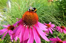 DSCF7028 (2).webp